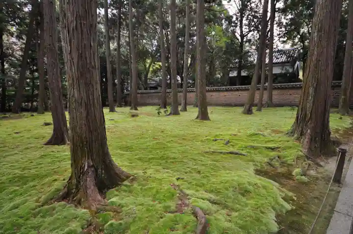 唐招提寺(奈良県)