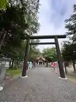 豊栄神社の鳥居