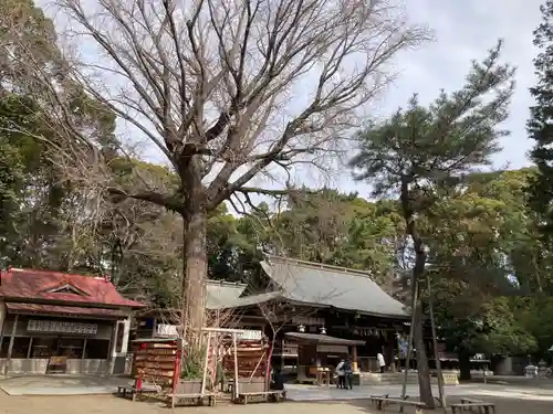 平塚八幡宮(神奈川県)