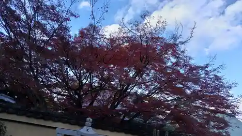 養徳院(京都府)