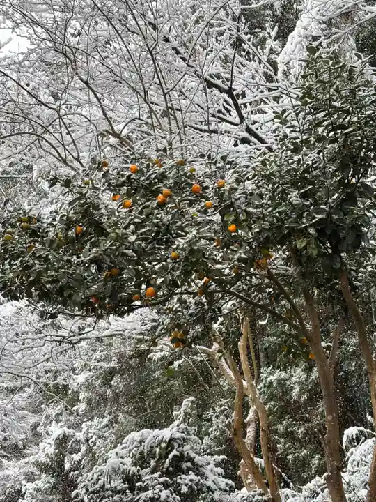 二兒神社(福岡県)