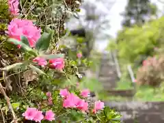 和神社の自然