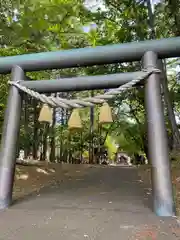 大谷地神社の鳥居