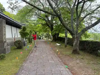 西教寺(滋賀県)