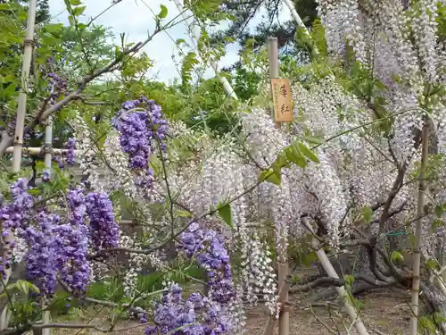 志那神社の自然