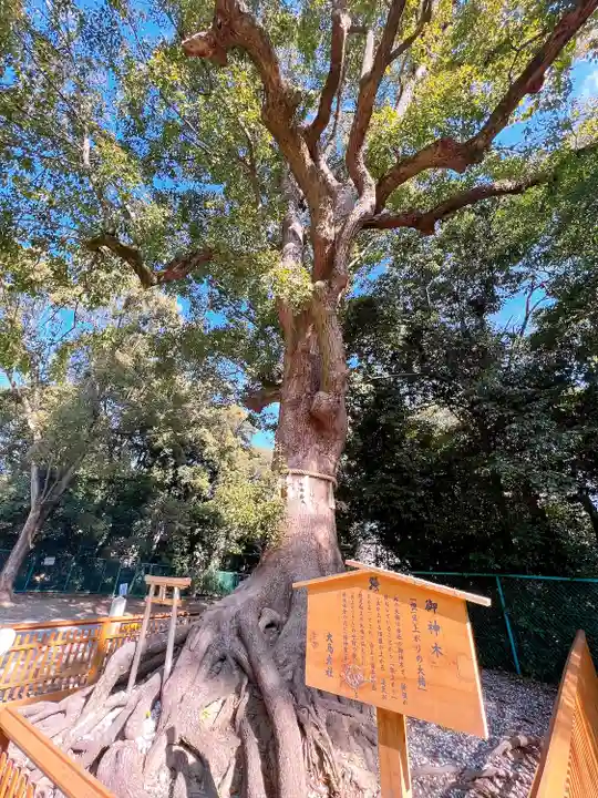 和泉國一之宮 大鳥大社の自然