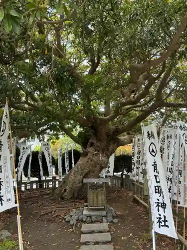 龍口明神社(神奈川県)