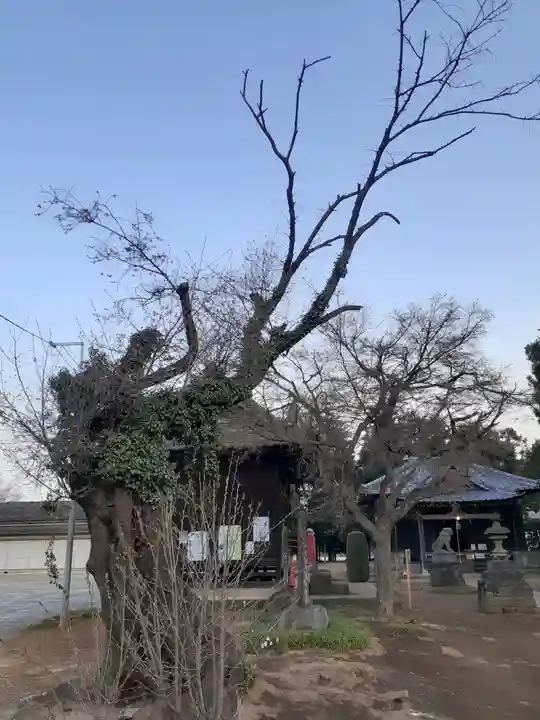 伏木香取神社の自然