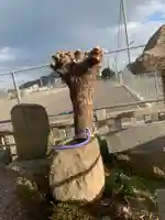 藤十郎大神社の手水舎