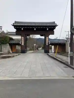 くろ谷 金戒光明寺の山門・神門