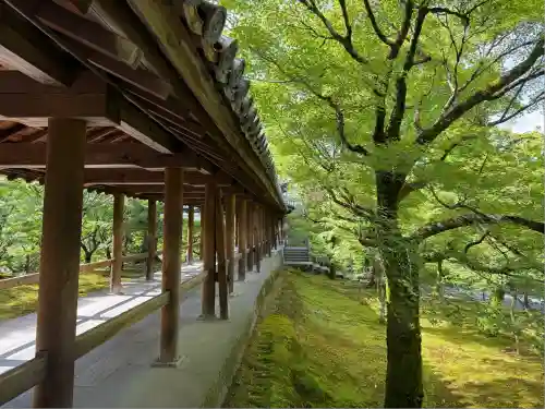 東福禅寺（東福寺）(京都府)