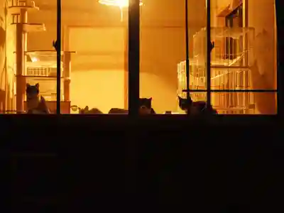 天王山 安楽寺(福井県)