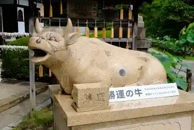 三室戸寺の狛犬