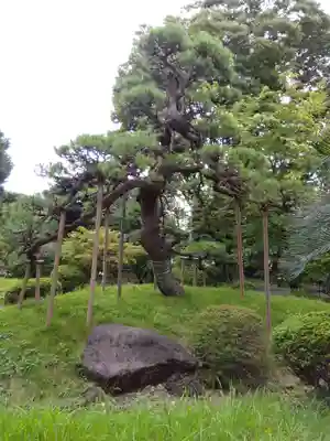 来福寺(東京都)