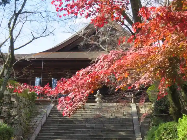 園城寺(三井寺)(滋賀県)