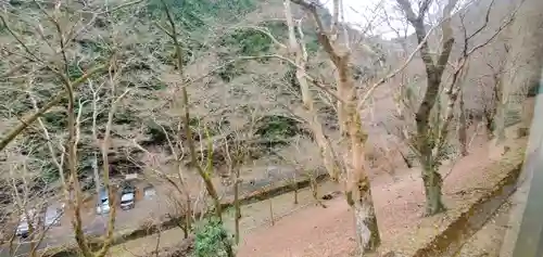 高尾山薬王院の周辺