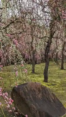 城南宮(京都府)