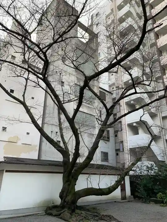 御津八幡宮(大阪府)