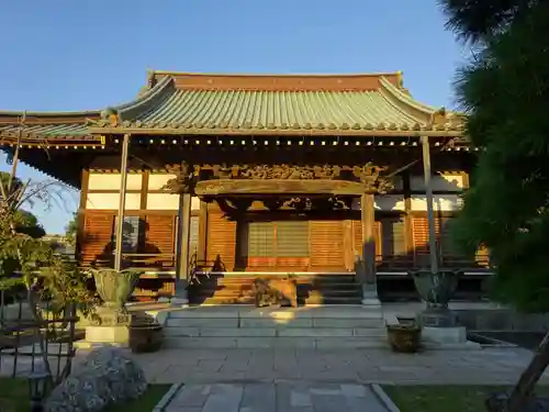 徳願寺の本殿・本堂