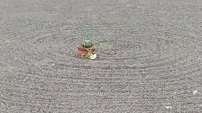 常陸第三宮 吉田神社(茨城県)