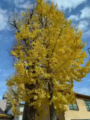 阿邪訶根神社(福島県)