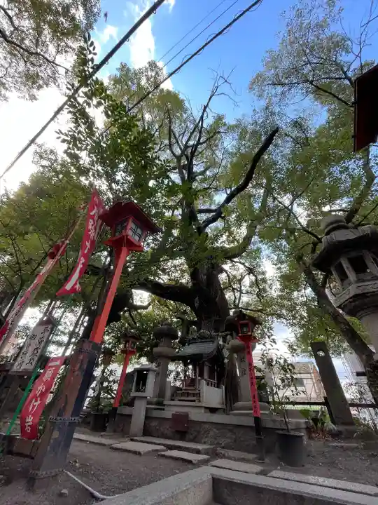 若一神社(京都府)