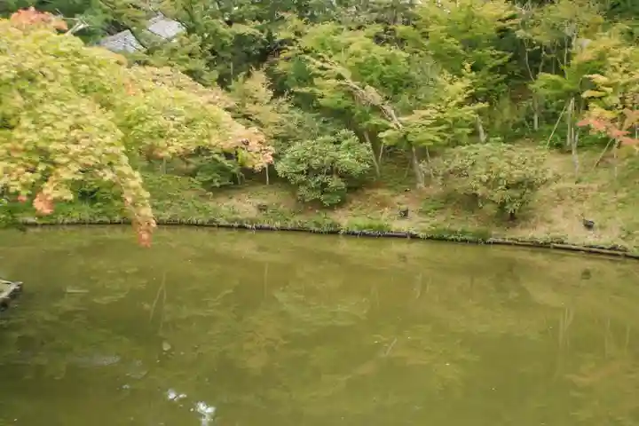 高台寺(高台寿聖禅寺・高臺寺)(京都府)