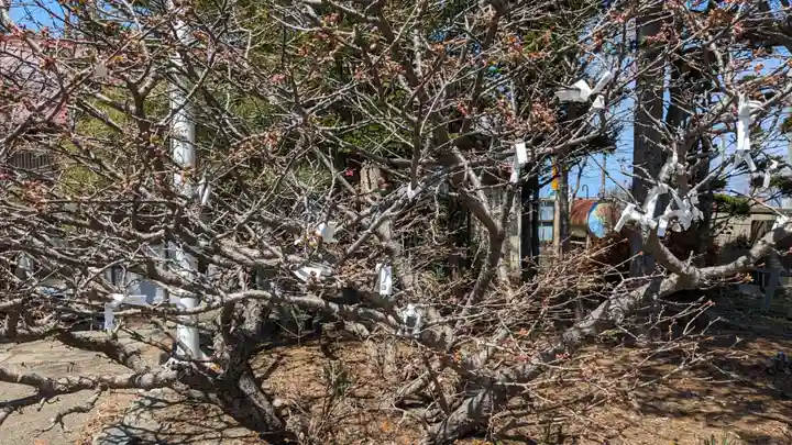 根室出雲神社のおみくじ