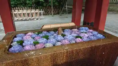 鶴岡八幡宮の手水舎