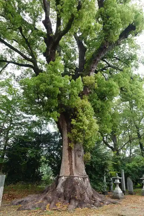 高良神社(香川県)