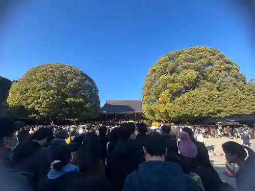 明治神宮(東京都)