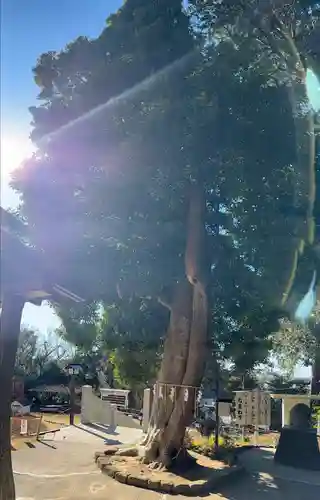 思金神社(神奈川県)