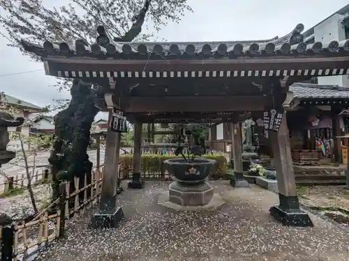 新井薬師（梅照院）(東京都)
