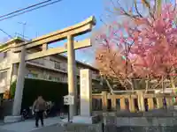 北澤八幡神社の鳥居