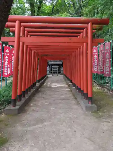 小牧山稲荷神社の鳥居