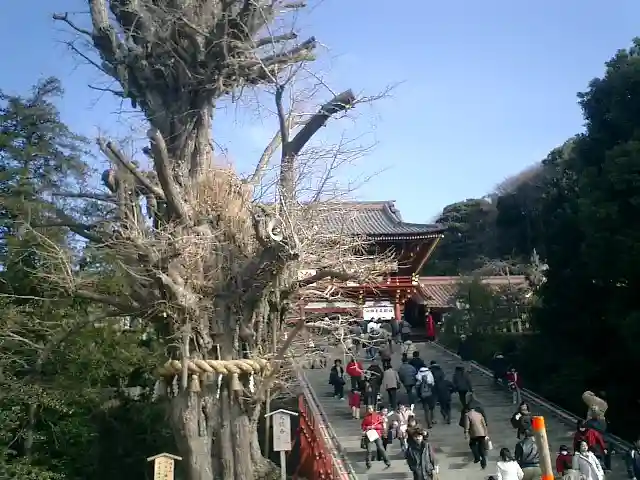 鶴岡八幡宮のその他建物