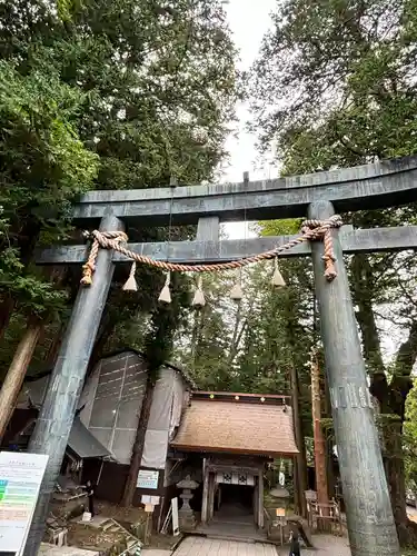 諏訪大社上社本宮の鳥居