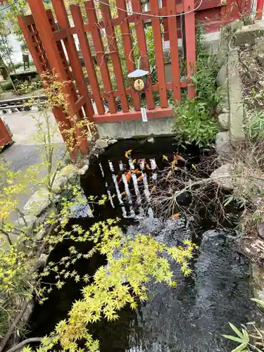 秩父神社(埼玉県)