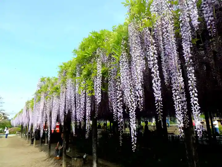 玉敷神社(埼玉県)
