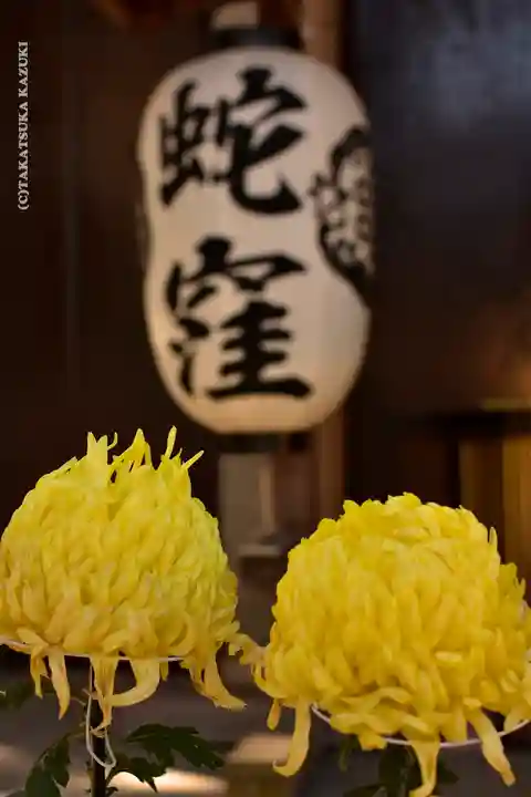 蛇窪神社の自然