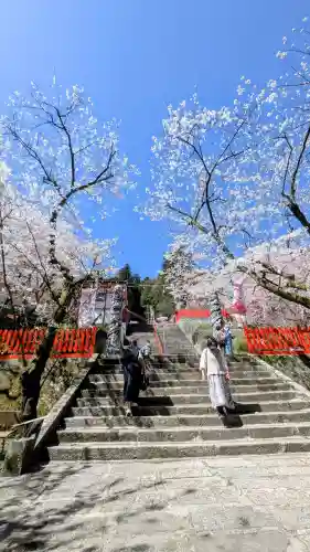 金櫻神社の{uncategorized: "未分類", other: "その他", undefined: "問題あり", building: "その他建物", grave: "お墓", sacred_gate: "鳥居", guardian: "狛犬", statue: "像", buddha: "仏像", history: "歴史", nature: "自然", garden: "庭園", animal: "動物", pagoda: "塔", temizu: "手水舎", mountain_gate: "山門・神門", sanctuary: "本殿・本堂", subordinate: "末社・摂社", art: "芸術", scenery: "景色", jizo: "地蔵", ema: "絵馬", goshuin: "御朱印", omikuji: "おみくじ", items: "授与品その他", amulet: "お守り", goshuincho: "御朱印帳", eats: "食事", festival: "お祭り", votive_dance: "神楽", shichigosan: "七五三参", wedding: "結婚式", experience: "体験その他", initially: "初詣", around: "周辺", anti_infection: "感染症対策"}