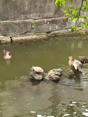 磐井神社(東京都)
