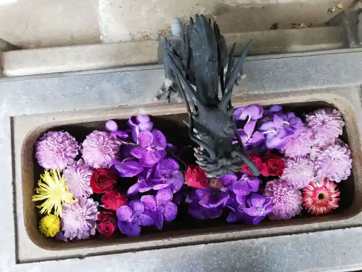 成就院の手水舎