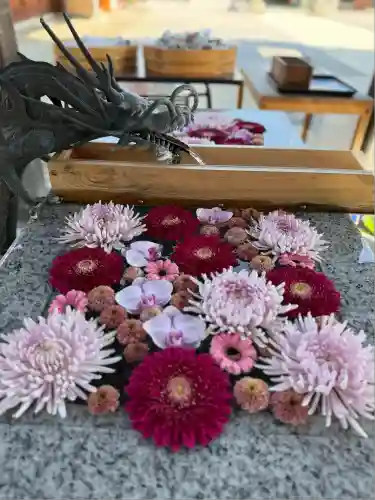 川越八幡宮(埼玉県)