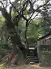 都萬神社の自然