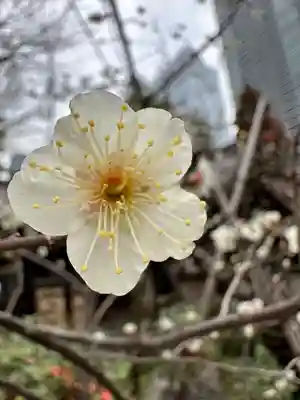 愛宕神社(東京都)