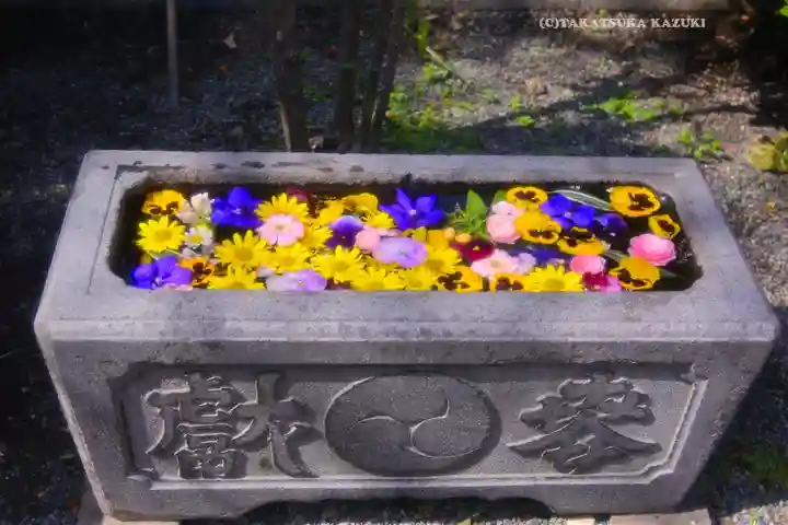 元町厳島神社(神奈川県)