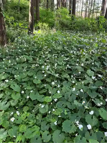 蛇木八坂神社(栃木県)