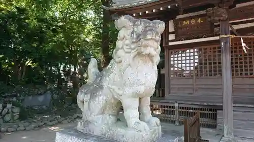 赤城久伊豆神社の狛犬