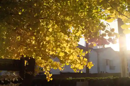 飛木稲荷神社(東京都)